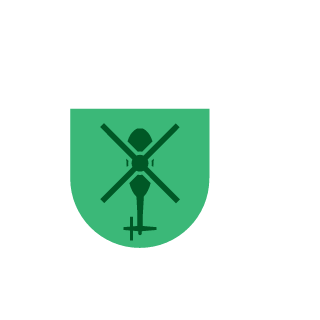 Pullverazzer_BR's emblem