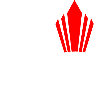 Spidi500's emblem