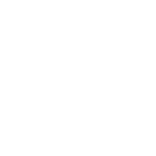 ice0ice's emblem