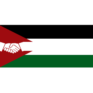 dronesim's emblem
