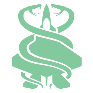 BabyFcedAssassin's emblem