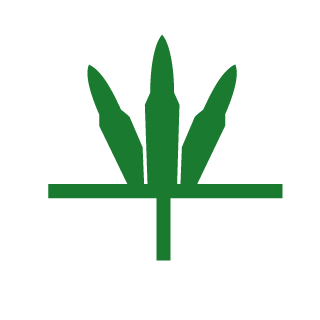 HullyCrazy's emblem
