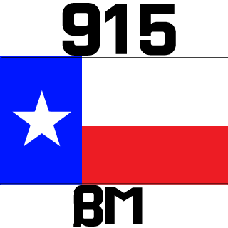 lFR Bravo 66's emblem