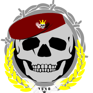 x1xDeMoNx1x's emblem