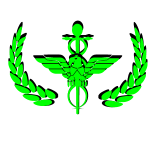 NSLS Poke's emblem
