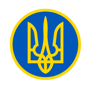 without_nerves's emblem
