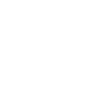 M4Mindscape's emblem