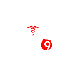 soulslay's emblem