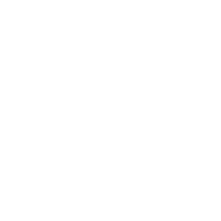 Ramms1ein's emblem