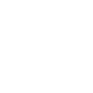 12trib3s's emblem