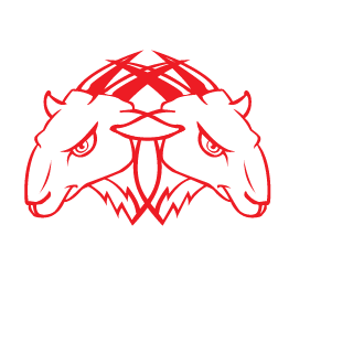 BigSwiifty's emblem