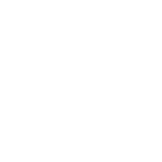 drunkgreenberet's emblem