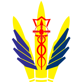 wirexia51's emblem