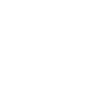 1fleshwound's emblem