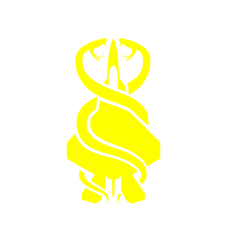 j_crash13's emblem