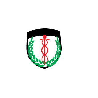 KnuckleBabies08's emblem
