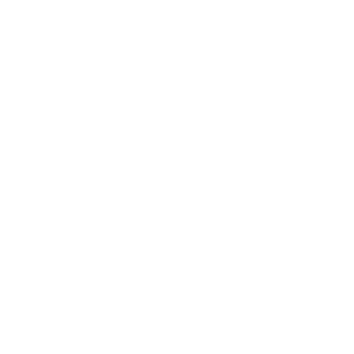 Wiazel's emblem
