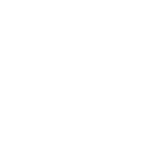 Flakcon's emblem