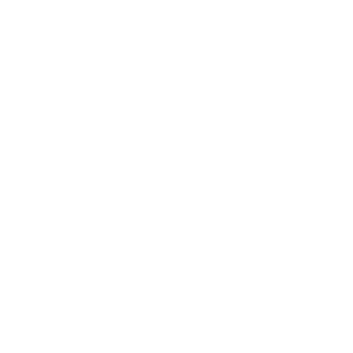 Noahdawolf505's emblem