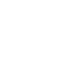 Naser132's emblem