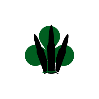 Vectoire_'s emblem