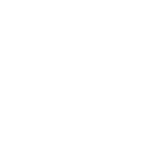GR4V3M1ND's emblem