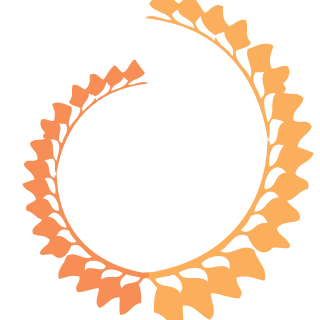 habhoub126's emblem