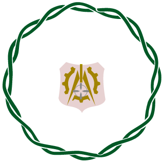 ImmoralSurgeon's emblem