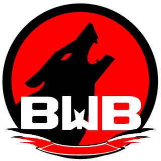 akguitarfreak101's emblem