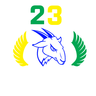 qn Infinity's emblem
