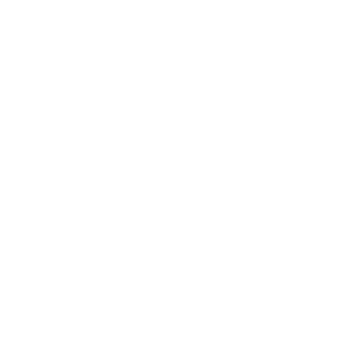 SejbrGW's emblem