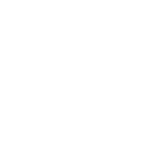THE_DETTONATOR's emblem