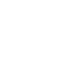 rallikaar's emblem