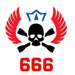 VibleR's emblem