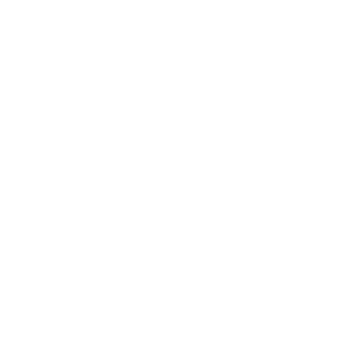 vollzeitidiot's emblem