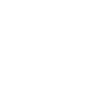 b0ns0irrr's emblem