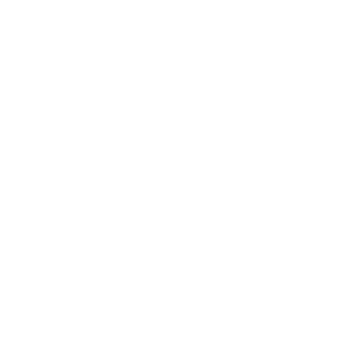 XxSycronxX's emblem