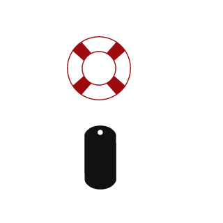 dralion132's emblem