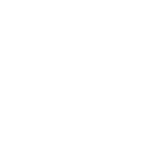 Ze_Frazao2's emblem