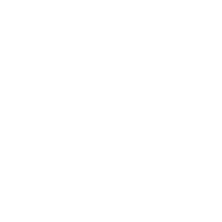 SoldaTs1's emblem