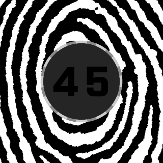 45thNumber's emblem