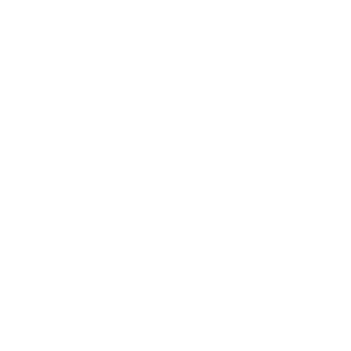LeeTRR's emblem
