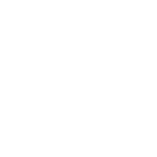 Sol4r_02's emblem