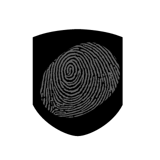 taoerror404's emblem