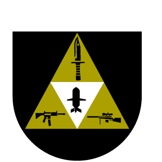 Team Triforce's emblem