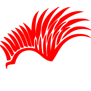 slimwing's emblem
