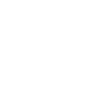 CB DT Tigrin's emblem