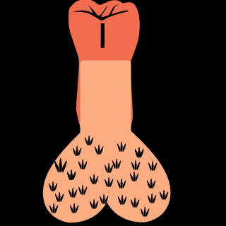 Heinrich_Sturm80's emblem