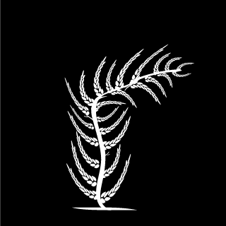 backside_tail's emblem