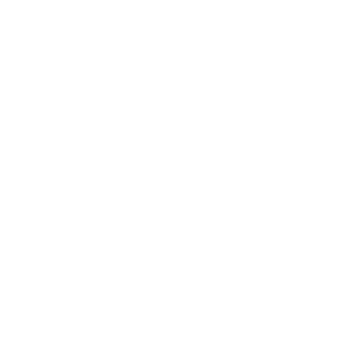 choobicks's emblem